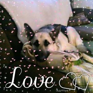 Meet your Posher, Selena